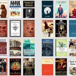 000 timeless classic & famous novels in digital format with PLR 100% copyright free